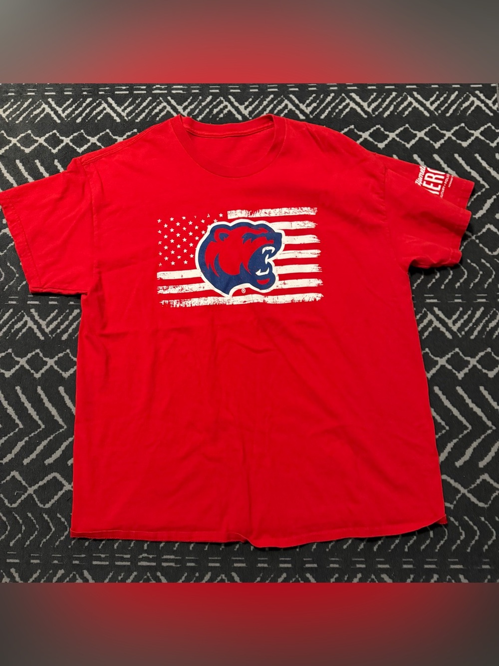 SOLD Hershey Bears shirt
